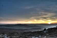 the roaches as i really saw it.jpg